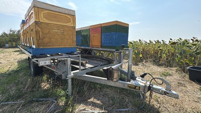 Зібрали п'ять сортів меду за сезон: як працює сімейна пасіка на Миколаївщині Зібрали п'ять сортів меду за сезон: як працює сімейна пасіка на Миколаївщині