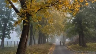 туман, осінь