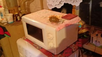 В Одесі у чоловіка виявили бойову гранату – поліція В Одесі у чоловіка виявили бойову гранату – поліція