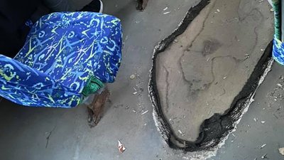 "Нестабільний графік, брудні салони, нахабні водії" - коментарі сумчан у соцмережах щодо маршруток "Нестабільний графік, брудні салони, нахабні водії" - коментарі сумчан у соцмережах щодо маршруток
