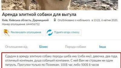 Оренда собак Оренда собак