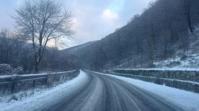 Яку погоду прогнозують на Закарпатті 1 січня
