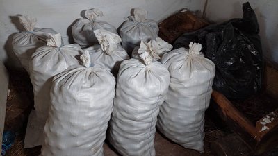 У Музеї Франка на Львівщині виростили понад тонну картоплі для ЗСУ У Музеї Франка на Львівщині виростили понад тонну картоплі для ЗСУ