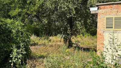 Лісопарк Никанорівський