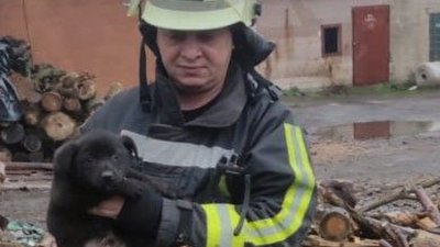 На Запоріжжі врятували песика, який впав у двометрову яму 
