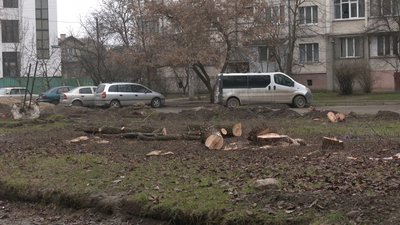 Вирубка дерев чи чистка чагарників. У Франківську жителі та комунальники не можуть дійти згоди Вирубка дерев чи чистка чагарників. У Франківську жителі та комунальники не можуть дійти згоди