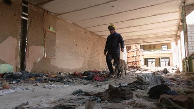 На руїнах школи у Чернігові кінологи тренують собак шукати людей під завалами На руїнах школи у Чернігові кінологи тренують собак шукати людей під завалами