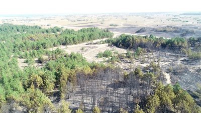 Пожежу, яка виникла на Херсонщині внаслідок військових навчань, загасили, - ДСНС