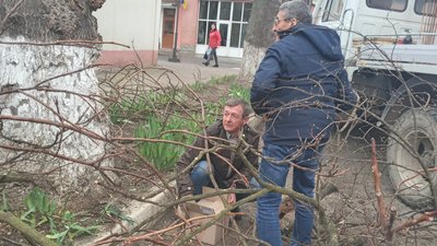 На Тернопільщині врятували кажанів