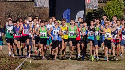 Два чемпіонати України завершилися для волинян золотими нагородами Два чемпіонати України завершилися для волинян золотими нагородами