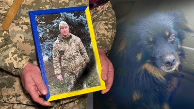 У Полтаві розшукали песика полеглого воїна, який злякався пострілів та втік з поховання