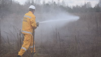 У Чорнобильській зоні найбільша з початку року пожежа — ДАЗВ