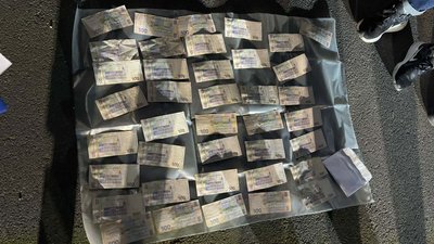 Знищив 15 000 дерев Знищив 15 000 дерев