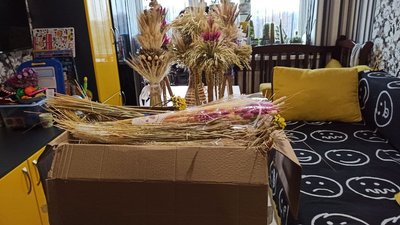 Кропивничанка замість живої ялинки прикрашає свою квартиру дідохом Кропивничанка замість живої ялинки прикрашає свою квартиру дідохом