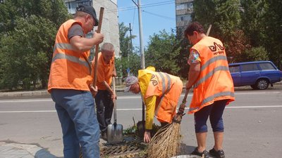 У Миколаєві через зливу та буревій попадали дерева