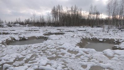 рейд на поліссі рейд на поліссі