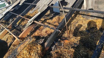 На Ужгородщині горіла лазня: причини та збитки встановлюють На Ужгородщині горіла лазня: причини та збитки встановлюють