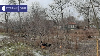 Про Голодомор згадували в Білопіллі, де померла десята частина жителів Про Голодомор згадували в Білопіллі, де померла десята частина жителів