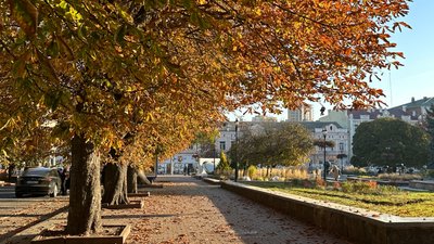 Осінні вулиці Хмельницького