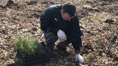 "Людям не вистачає повітря": на Вінниччині продовжують садити ліс "Людям не вистачає повітря": на Вінниччині продовжують садити ліс