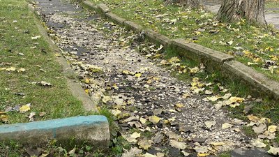 Пішохідна доріжка Пішохідна доріжка