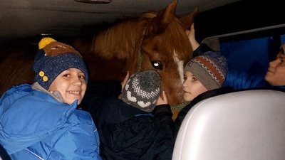 Кобила Гроза в бусі Кобила Гроза в бусі