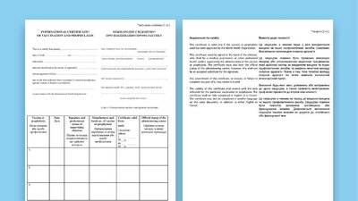 Як підтвердити щеплення, зроблені за кордоном, після повернення в Україну — пояснення МОЗ Як підтвердити щеплення, зроблені за кордоном, після повернення в Україну — пояснення МОЗ