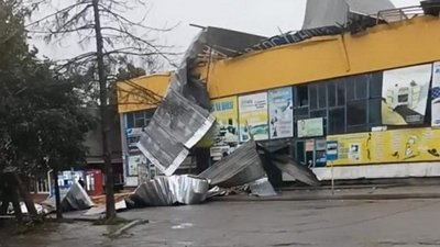 Повалені дерева та відсутність електропостачання — наслідки негоди на Вінниччині Повалені дерева та відсутність електропостачання — наслідки негоди на Вінниччині