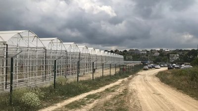 Бензи у Криму — зупинився найбільший тепличний комбінат через дефіцит пального