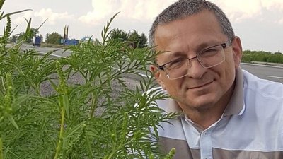 У Запоріжжі екоактивісти вимагають владу розробити новий план боротьби з амброзією, який допоможе її ліквідувати У Запоріжжі екоактивісти вимагають владу розробити новий план боротьби з амброзією, який допоможе її ліквідувати