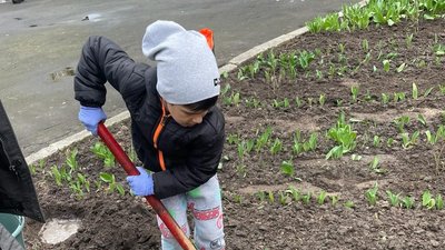 У пам’ять про загиблих воїнів їхні родини у Звягелі висадили трояндову клумбу У пам’ять про загиблих воїнів їхні родини у Звягелі висадили трояндову клумбу