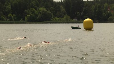 Житомир вперше приймає чемпіонат України з плавання на відкритій воді Житомир вперше приймає чемпіонат України з плавання на відкритій воді