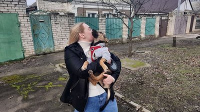 Херсонські волонтери знайшли родину врятованій собаці Херсонські волонтери знайшли родину врятованій собаці