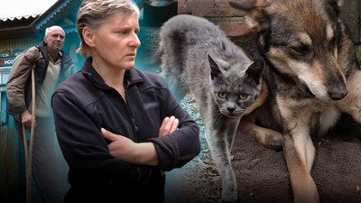Вивезли 12 тварин з Грем`яча на Чернігівщині: родина врятувала котів та собак