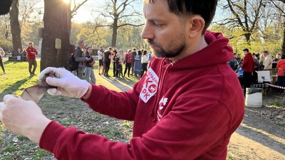 Що із кажанами, яких врятували у Полтаві Що із кажанами, яких врятували у Полтаві