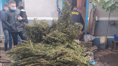 На Буковині у чоловіка вилучили понад 20 кілограмів марихуани