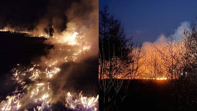 За добу на Закарпатті зафіксували 33 підпали сухої трави