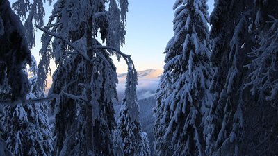Добре, що я не браконьєр. Автор фото рисей розповів про своє хобі Добре, що я не браконьєр. Автор фото рисей розповів про своє хобі