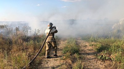 На території Дніпропетровської області в природних екосистемах виникло 68 пожеж На території Дніпропетровської області в природних екосистемах виникло 68 пожеж