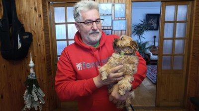 Собака-переселенка, яку Сергій Новосад привіз з Херсона та залишив у себе Собака-переселенка, яку Сергій Новосад привіз з Херсона та залишив у себе