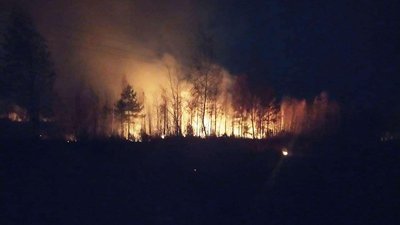 Паління сухостою на Рівненщині: поліція відкрила кримінальне провадження Паління сухостою на Рівненщині: поліція відкрила кримінальне провадження