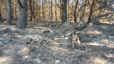 На Волині другу добу горить сміттєзвалище. Чому зайнялося На Волині другу добу горить сміттєзвалище. Чому зайнялося