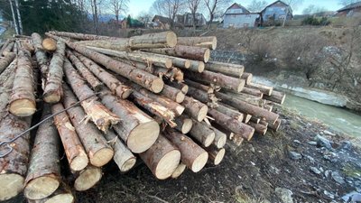 На Закарпатті поліцейські вилучили понад 40 кубометрів нелегальної деревини