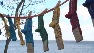 Черкаський клуб службового собаківництва підтримав людей із синдромом Дауна Черкаський клуб службового собаківництва підтримав людей із синдромом Дауна