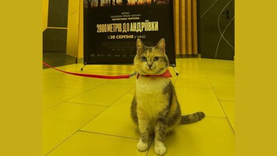 Кішка Андріївка відвідала спецпоказ "2000 метрів до Андріївки" у Львові