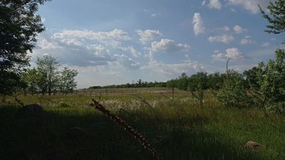 4 червня: погода Запоріжжя та Запорізька область