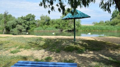 Купатися у річках Турунчук та Дністер на Одещині небезпечно — лабораторні дослідження