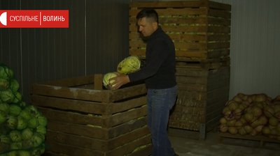 Через карантин волинський фермер не має куди подіти 100 тонн овочів Через карантин волинський фермер не має куди подіти 100 тонн овочів