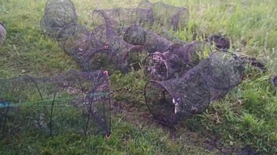 У заказнику на Волині спіймали рибалок із забороненими снастями. Їх оштрафують У заказнику на Волині спіймали рибалок із забороненими снастями. Їх оштрафують