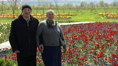 "Висадили до 3 мільйонів цибулин". Що дивитися на тюльпановому полі неподалік Чернівців "Висадили до 3 мільйонів цибулин". Що дивитися на тюльпановому полі неподалік Чернівців